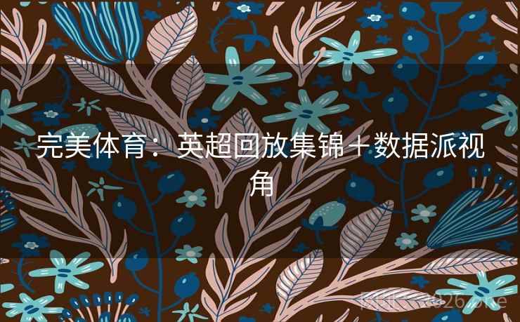 完美体育：英超回放集锦＋数据派视角