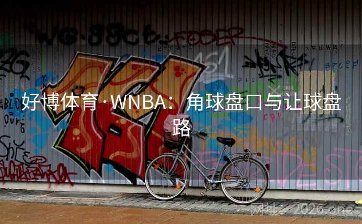 好博体育·WNBA：角球盘口与让球盘路
